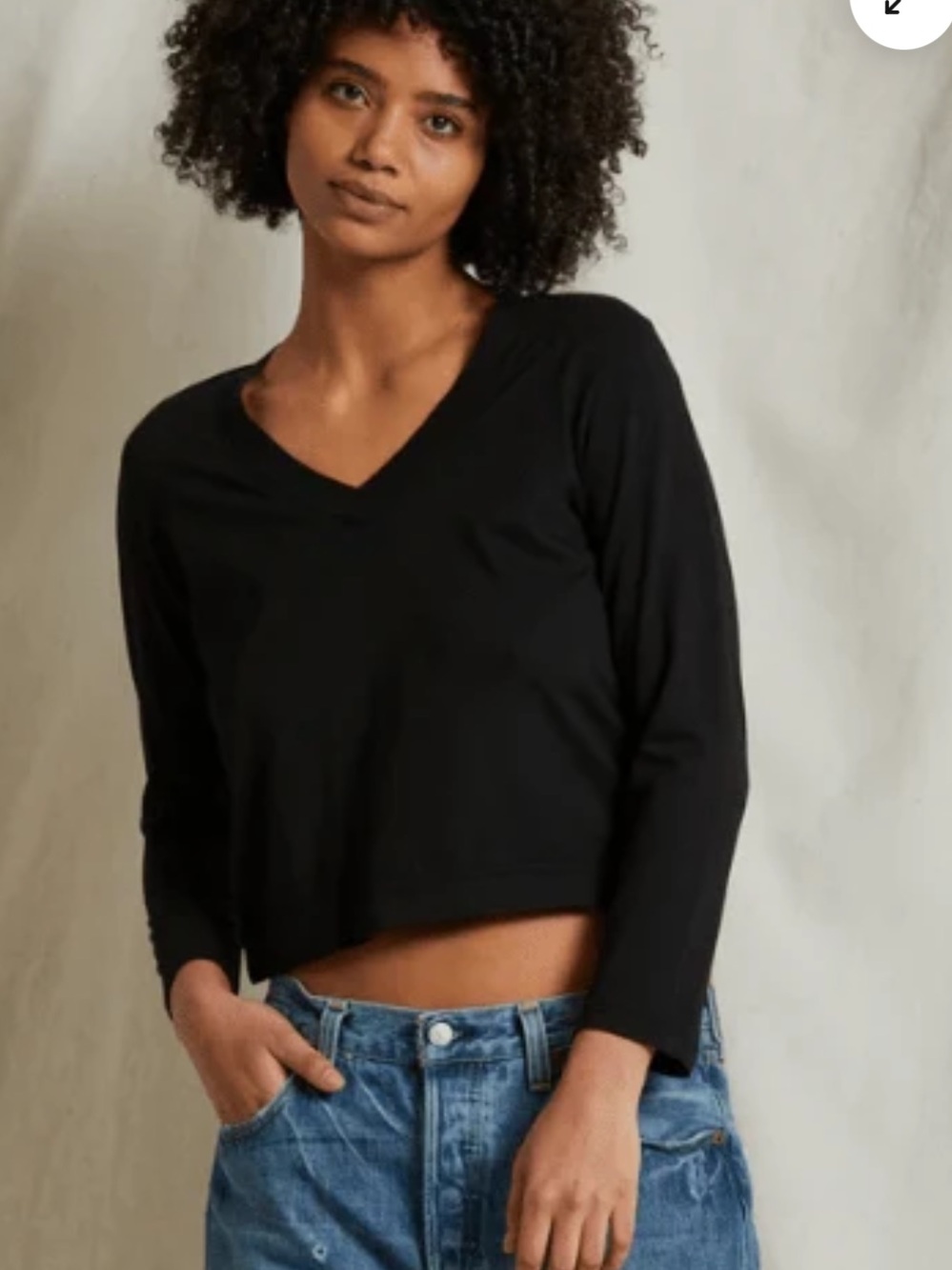 perfectwhitetee Sinatra V Neck Long Sleeve Tee